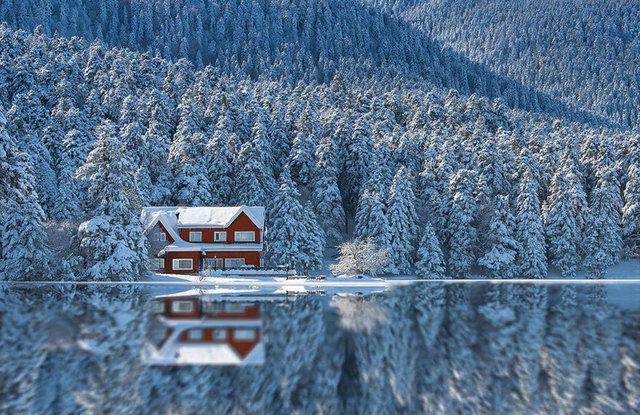 รูปภาพ:http://static.boredpanda.com/blog/wp-content/uploads/2016/06/cozy-cabins-in-the-woods-100-57600756dfee6__880.jpg