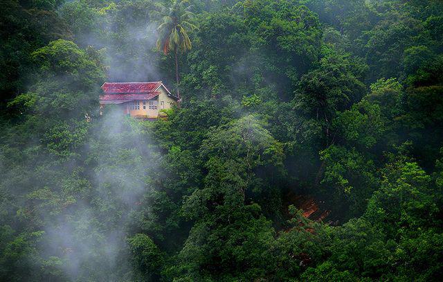 รูปภาพ:http://static.boredpanda.com/blog/wp-content/uploads/2016/06/cozy-cabins-in-the-woods-575faa5e5bff5__880.jpg