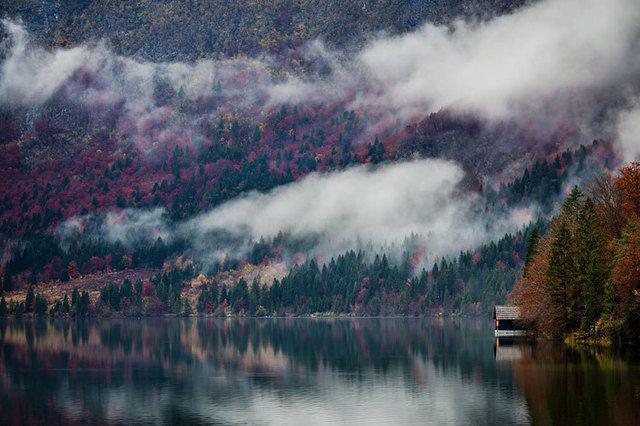 รูปภาพ:http://static.boredpanda.com/blog/wp-content/uploads/2016/08/cozy-cabins-in-the-woods-002-57c58673a11c6__880.jpg