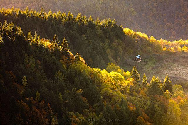 รูปภาพ:http://static.boredpanda.com/blog/wp-content/uploads/2016/06/cozy-cabins-in-the-woods-39-575fd04636d2f__880.jpg