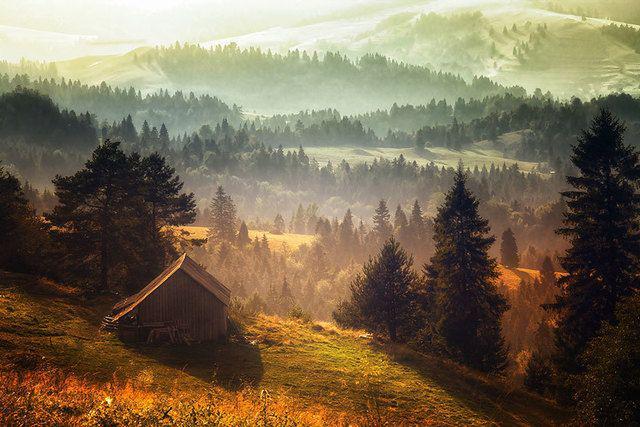 รูปภาพ:http://static.boredpanda.com/blog/wp-content/uploads/2016/06/cozy-cabins-in-the-woods-104-576009d6dca19__880.jpg