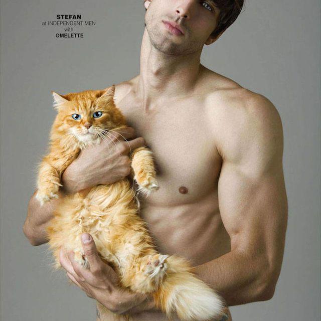 ภาพประกอบบทความ แมวกับผู้ชายถอดเสื้อสิ่งไหนเร้าใจกว่ากัน.. แมวใช่มั้ยถามใจเธอดู