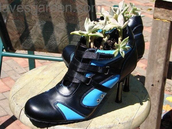 รูปภาพ:http://www.hometrendesign.com/wp-content/uploads/2012/04/Ladies-Old-Shoes-Planters-Creative-Ideas-Use-Old-Shoes-to-Plant-Flower.jpg