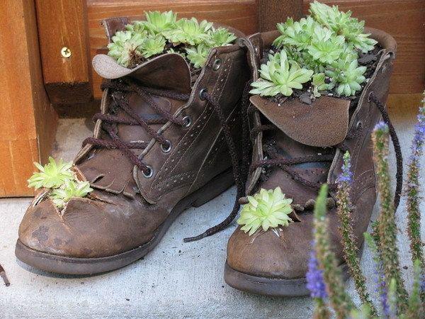 รูปภาพ:http://www.hometrendesign.com/wp-content/uploads/2012/04/Shoes-Container-Garden-Ideas-Old-Shoes-Planters-Creative-Ideas-Use-Old-Shoes-to-Plant-Flower.jpg