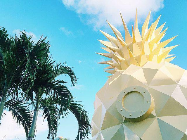 รูปภาพ:http://static.boredpanda.com/blog/wp-content/uploads/2016/09/spongebob-squarepants-hotel-pineapple-nickelodeon-resort-punta-cana-6.jpg