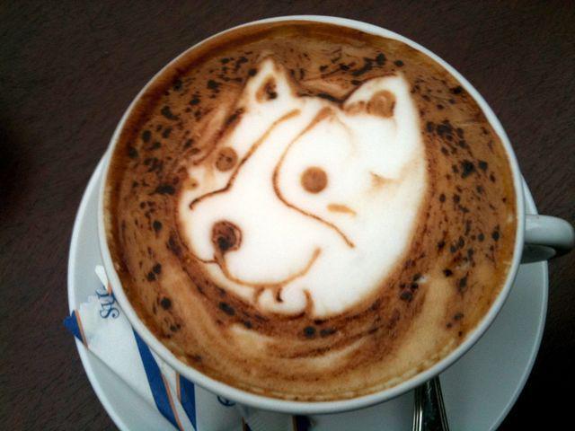 รูปภาพ:http://startupjungle.com/wp-content/uploads/2016/02/animal-lattte.jpg