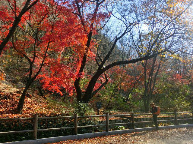 รูปภาพ:http://photos.nomadicsamuel.com/ThatBackpacker/South-Korea/Namsan-Seoul-Tower/i-Zj4WmFQ/0/L/Namsan-Seoul-Tower-Korea%20(9)-L.jpg