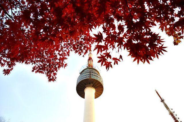 รูปภาพ:https://amkortravel.files.wordpress.com/2016/06/namsan-tower-autumn-leaves-seoul-hhwt.jpg?w=775