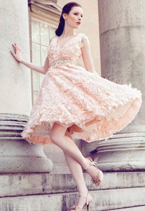 รูปภาพ:http://www.vowslove.com/blog/wp-content/uploads/2015/04/blush-pink-short-bridal-dress-2015.jpg