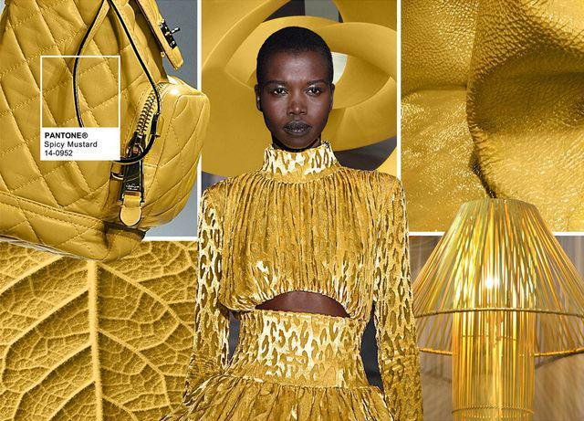 รูปภาพ:http://www.cyndispivey.com/wp-content/uploads/2016/07/moodboard-pantone-fashion-color-report-2016-spicy-mustard-14-0952.jpg