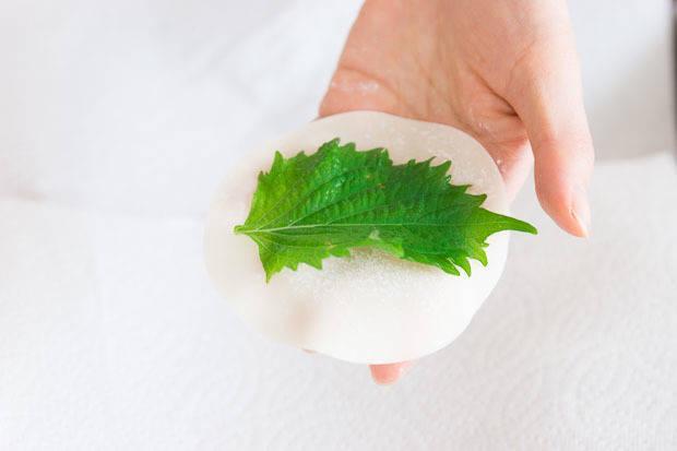 รูปภาพ:http://cdn2.norecipes.com/wp-content/uploads/2014/08/shiso-gyoza-5.jpg?ae258a