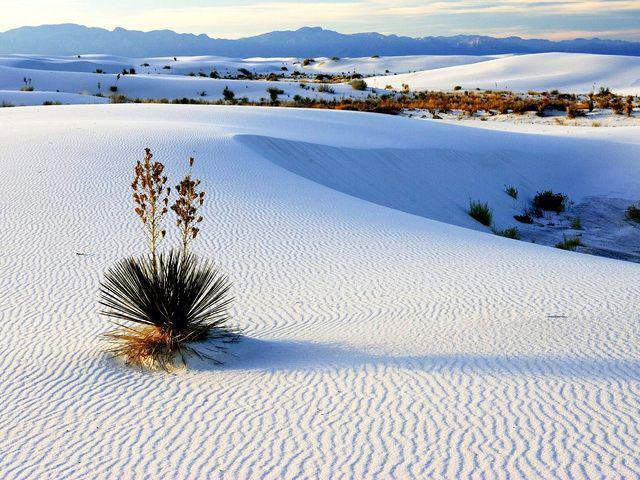 รูปภาพ:http://snowbrains.com/wp-content/uploads/2015/08/white-sands-national-monument.jpg