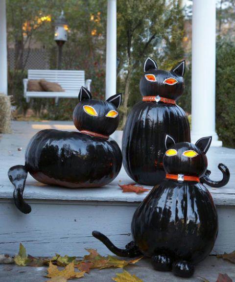 รูปภาพ:http://ghk.h-cdn.co/assets/cm/15/11/480x576/5500159e72fa1-pumpkin-kats-1010-s3.jpg