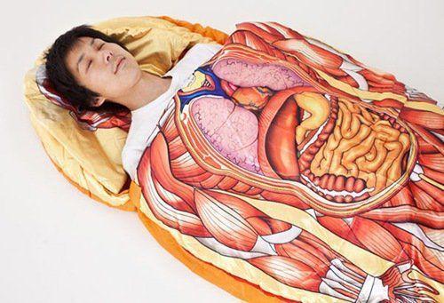 รูปภาพ:http://outdoors.campmor.com/wp-content/uploads/Anatomical-Model-Sleeping-Bag.jpg