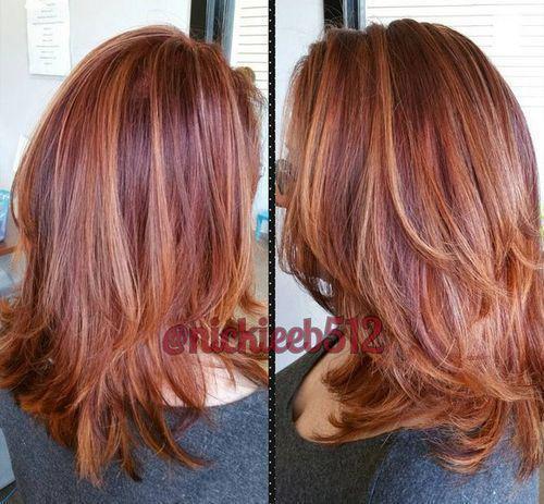 รูปภาพ:http://i1.wp.com/therighthairstyles.com/wp-content/uploads/2015/10/10-plum-auburn-hair-with-copper-highlights.jpg?w=500