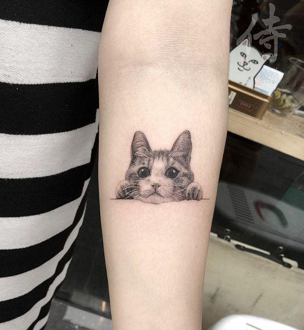 รูปภาพ:http://static.boredpanda.com/blog/wp-content/uploads/2016/10/cat-tattoo-ideas-41-5804c3a8c0367__605.jpg