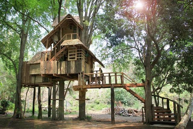 รูปภาพ:http://baanstyle.com/wp-content/uploads/2015/08/big-treehouse-in-chiangmai-thailand-01.jpg