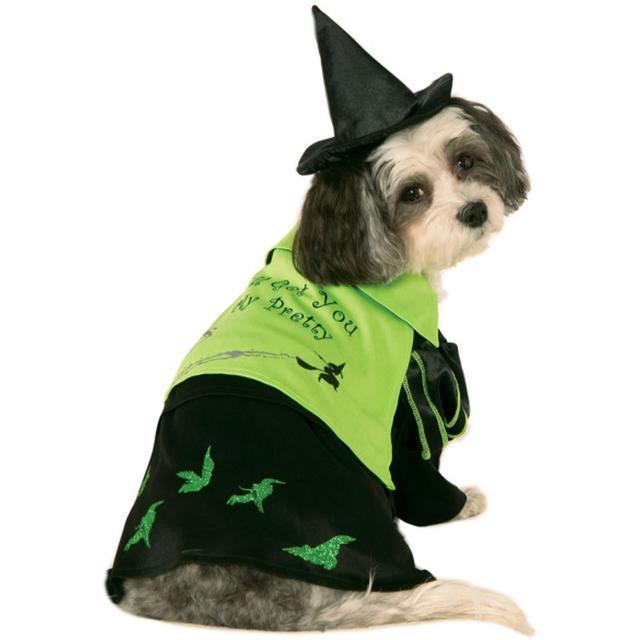 รูปภาพ:https://www.baxterboo.com/global/images/products/large/wicked-witch-dog-costume-with-leg-cuffs-1.jpg