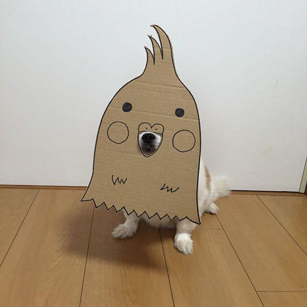รูปภาพ:http://static.boredpanda.com/blog/wp-content/uploads/2016/10/dog-costume-cardboard-cutouts-myouonnin-44-580f544b37dbb__605.jpg