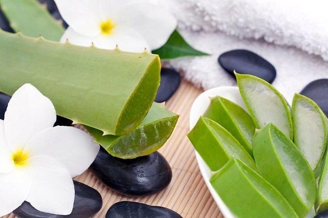 รูปภาพ:http://sukkaphap-d.com/wp-content/uploads/2015/06/The-Aloe-Vera-Benefits-1.jpg