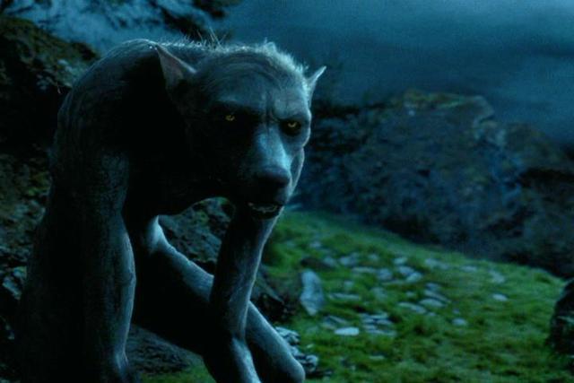 รูปภาพ:http://images3.wikia.nocookie.net/harrypotter/images/4/4b/Werewolf.jpg