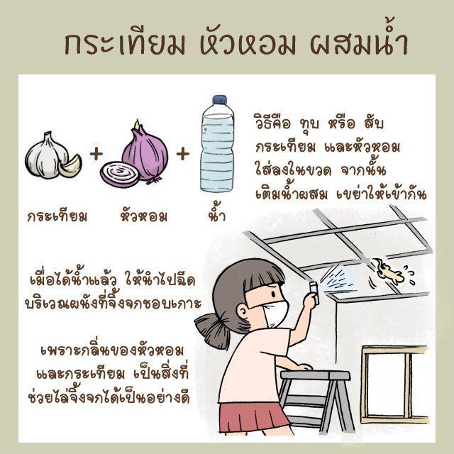 รูปภาพ: