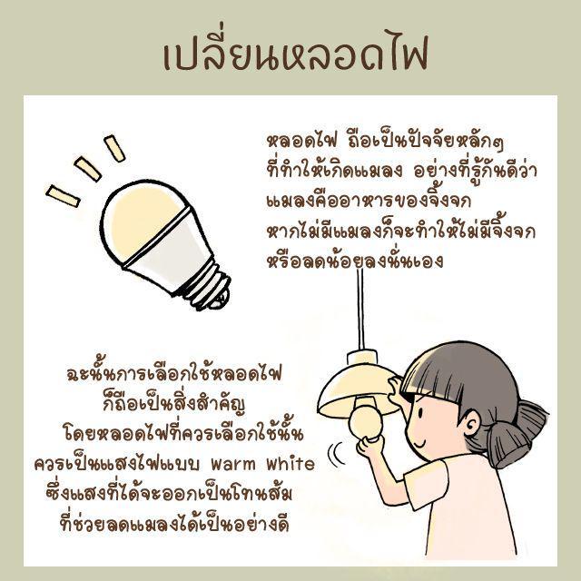 รูปภาพ: