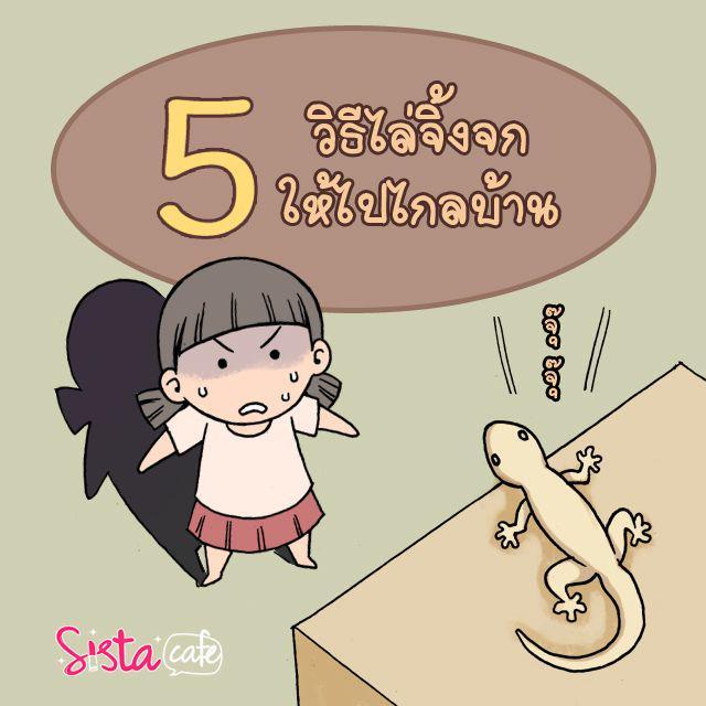 ตัวอย่าง ภาพหน้าปก:5 วิธีไล่จิ้งจกให้ไปไกลบ้าน