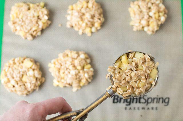 รูปภาพ:https://images.britcdn.com/wp-content/uploads/2016/05/Tropical-Oatmeal-Breakfast-Cookies-finished-step2.jpg