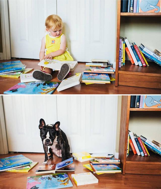 รูปภาพ:http://static.boredpanda.com/blog/wp-content/uploads/2015/07/I-Photograph-My-Daughter-And-Dog-In-The-Same-Setting3__880.jpg