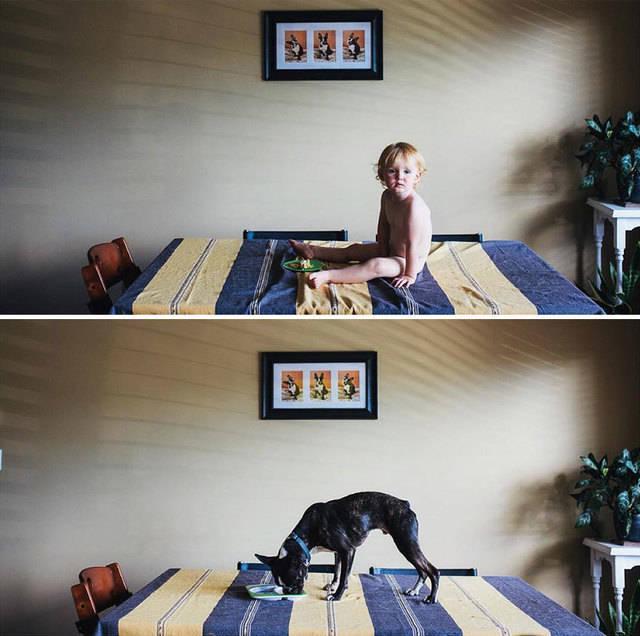 รูปภาพ:http://static.boredpanda.com/blog/wp-content/uploads/2015/07/I-Photograph-My-Daughter-And-Dog-In-The-Same-Setting13__880.jpg