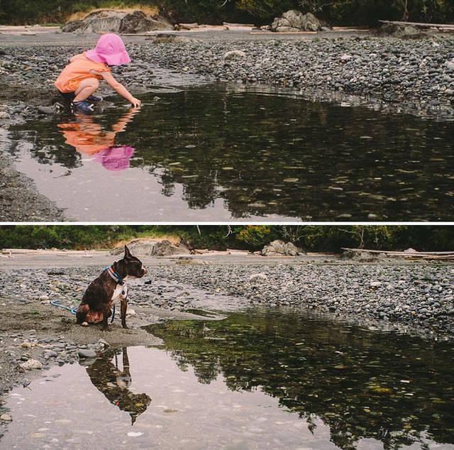 รูปภาพ:http://static.boredpanda.com/blog/wp-content/uploads/2015/07/I-Photograph-My-Daughter-And-Dog-In-The-Same-Setting14__880.jpg