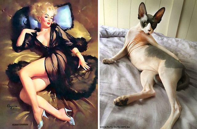 รูปภาพ:http://static.boredpanda.com/blog/wp-content/uploads/2016/12/cats-vintage-pin-up-girls-33-5866670a89b27__700.jpg