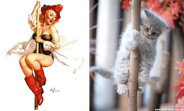 รูปภาพ:http://static.boredpanda.com/blog/wp-content/uploads/2016/12/cats-vintage-pin-up-girls-26-586666fc04b9f__700.jpg