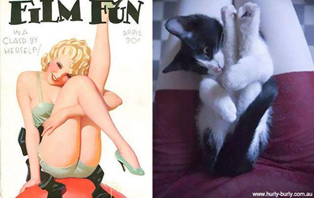 รูปภาพ:http://static.boredpanda.com/blog/wp-content/uploads/2016/12/cats-vintage-pin-up-girls-1-586666d196945__700.jpg