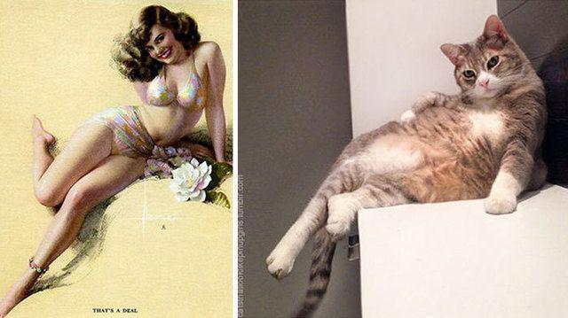 รูปภาพ:http://static.boredpanda.com/blog/wp-content/uploads/2016/12/cats-vintage-pin-up-girls-28-586667004aa62__700.jpg