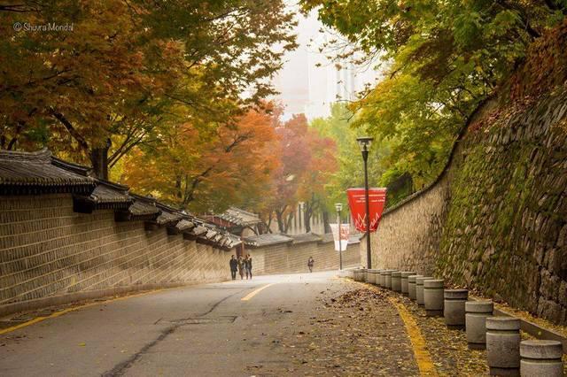 รูปภาพ:http://dulichhanquocgiare.com/wp-content/uploads/2013/11/15-Deoksugung-Doldam-gil-Deoksugung-Stone-Wall-Road.jpg