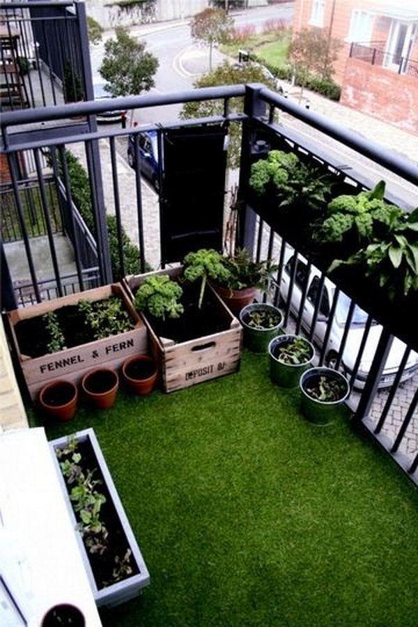 รูปภาพ:http://ideastand.com/wp-content/uploads/2015/01/balcony-garden-ideas/4-balcony-garden-ideas.jpg
