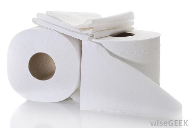 รูปภาพ:http://images.wisegeek.com/two-rolls-of-toilet-paper-against-white.jpg