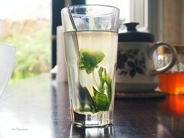 รูปภาพ:http://1.bp.blogspot.com/-Ex0rdWAQigs/Ua44KkKyU6I/AAAAAAAAJck/fLsWEr3JF0c/s1600/Homemade+mint+and+ginger+tea3.jpg