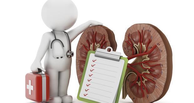 รูปภาพ:http://st1.thehealthsite.com/wp-content/uploads/2014/06/kidneys.jpg