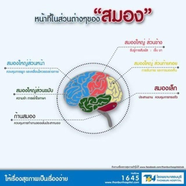 ตัวอย่าง ภาพหน้าปก:โรคหลอดเลือดสมอง ภัยร้ายใกล้ตัว