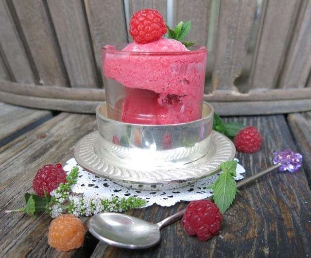 รูปภาพ:https://www.acanadianfoodie.com/wp-content/uploads/2016/08/4-Thermomix-Seedless-Raspberry-Ice-Cream.jpg