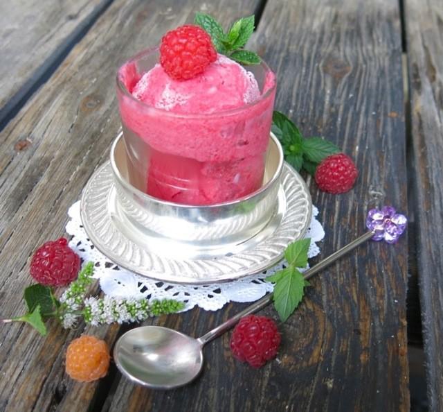 รูปภาพ:https://www.acanadianfoodie.com/wp-content/uploads/2016/08/3-Thermomix-Seedless-Raspberry-Ice-Cream.jpg