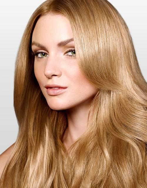 รูปภาพ:http://blog.hairplusbase.com/wp-content/uploads/2015/05/Light-Golden-Brown-Hair.jpg