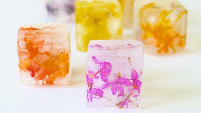 รูปภาพ:https://www.tablespoon.com/-/media/Images/Articles/PostImages-PrePandoNext/2014/05/week4/2014-05-19-flower-ice-cubes-hero-680x384.jpg