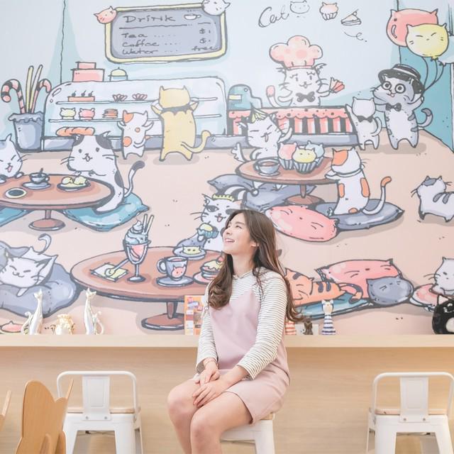 ตัวอย่าง ภาพหน้าปก:สะพายกล้องไปถ่ายน้องแมวที่ "Cat Up Cafe" น่ารัก มุ้งมิ้ง ฟินๆ กับน้องแมว