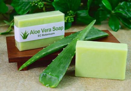 รูปภาพ:http://healinggaling.ph/wp-content/uploads/2015/05/Aloe-Vera-Soap.jpg