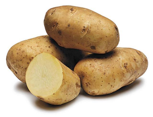 รูปภาพ:http://www.naturalhealth365.com/wp-content/uploads/2017/03/russet-potatoes.jpeg