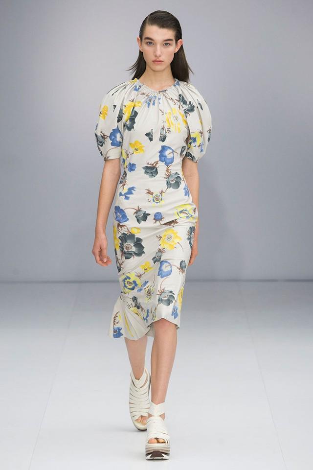 รูปภาพ:http://hbz.h-cdn.co/assets/16/42/hbz-trends-spring-2017-florals-07-ferragamo-rs17-2923_2.jpg